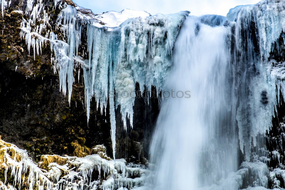 Similar – Image, Stock Photo frost Nature Landscape