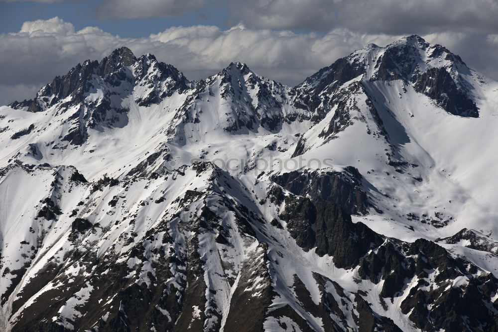 Similar – Foto Bild Frühlingszebra Berghang