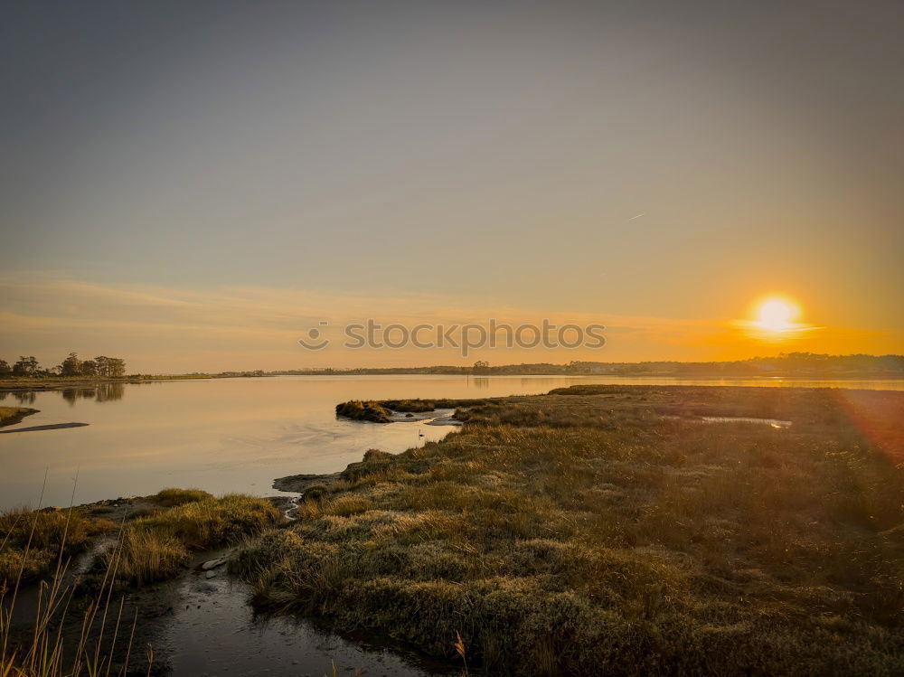 Image, Stock Photo AT-ATs landed on the coast