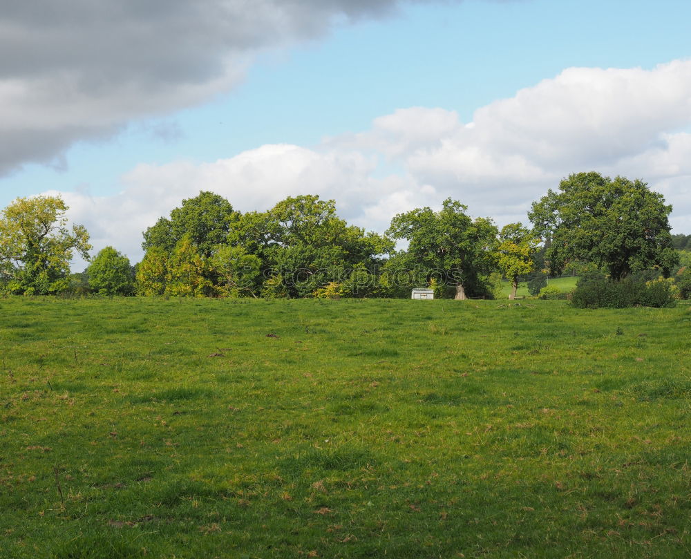 Similar – Tempelhof Field Berlin