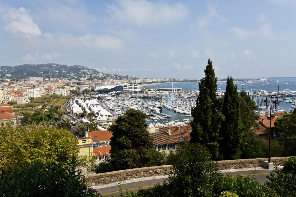 Similar – Image, Stock Photo Village Skiathos on the island of the same name in Greece