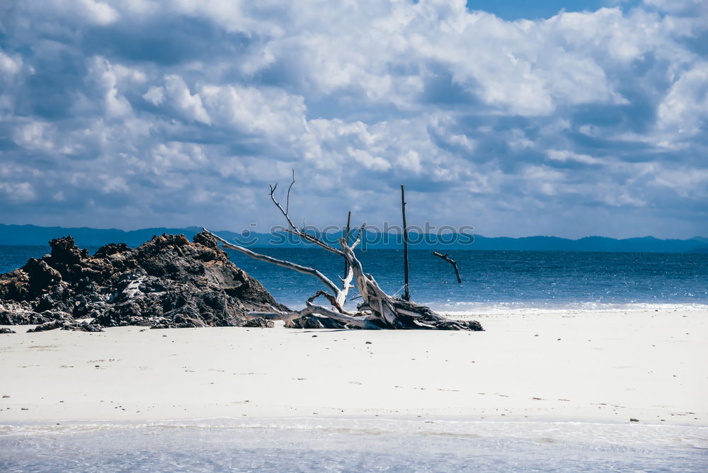 Similar – Image, Stock Photo the sea in zanzibar Beach