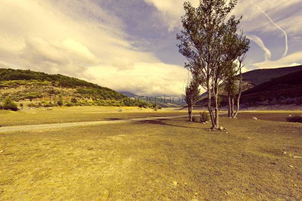 Similar – Mountain panorama with meadow and tree