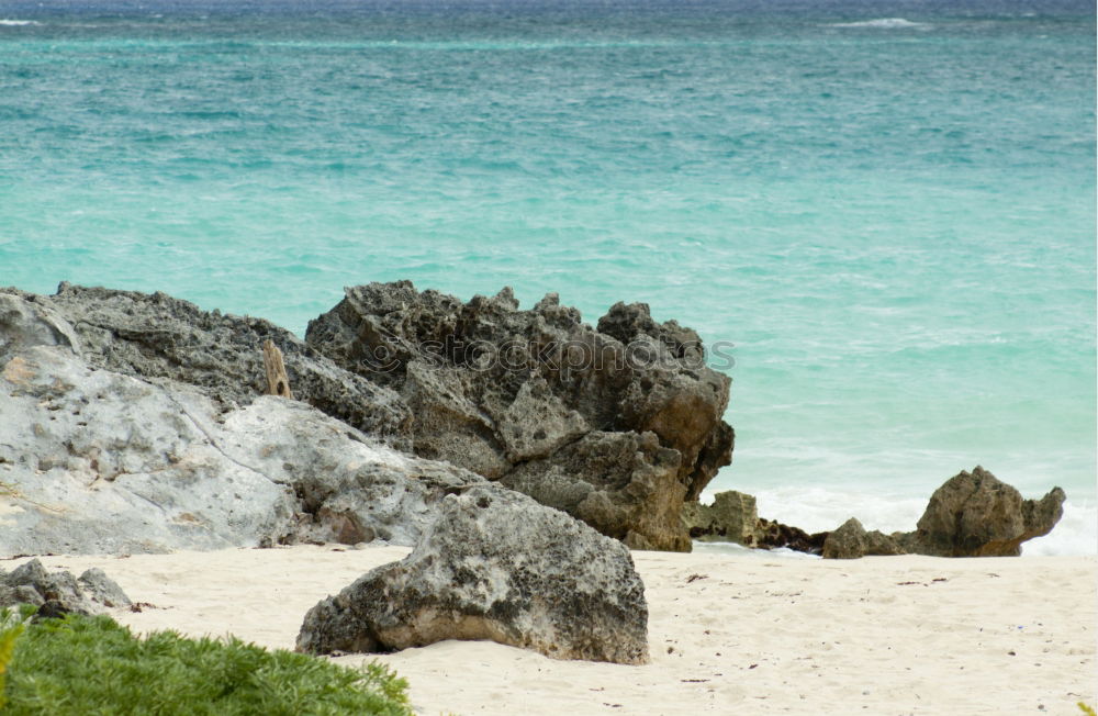 Similar – Foto Bild StrandStillLeben Erholung