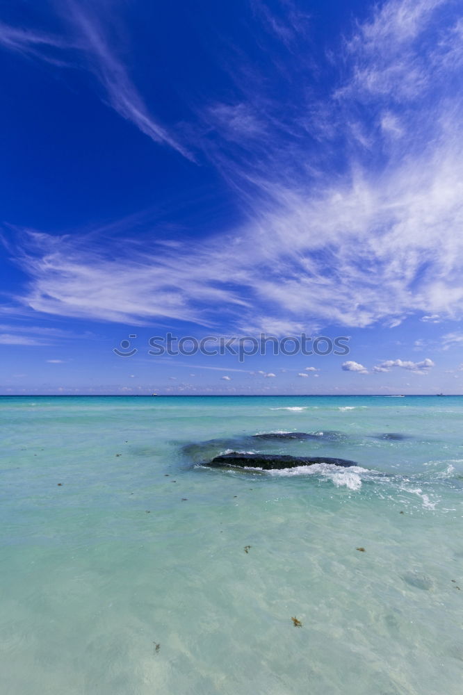 Similar – Image, Stock Photo Mallorca from its beautiful side 15