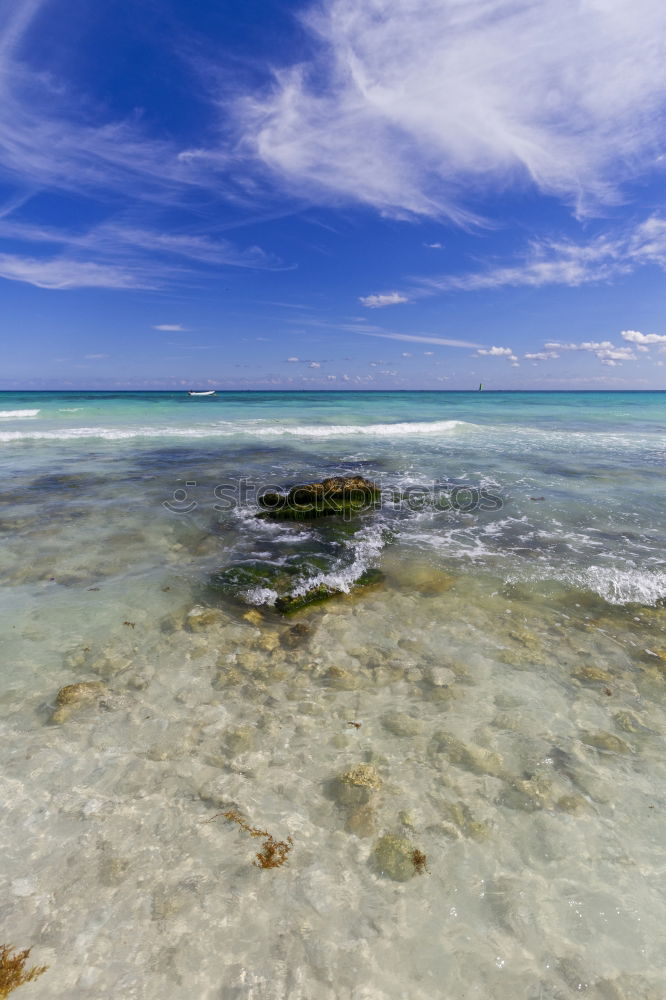 Similar – cornish coast Environment