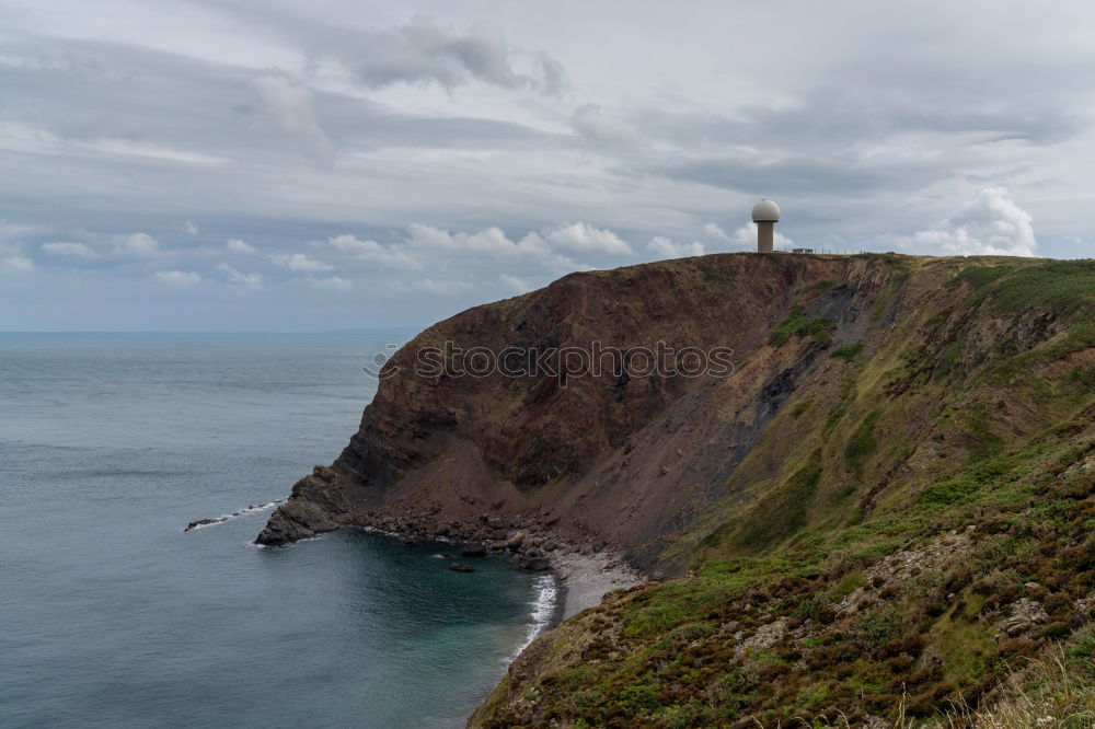 Similar – Foto Bild Kleine Möwe, fliegt nach Helgoland