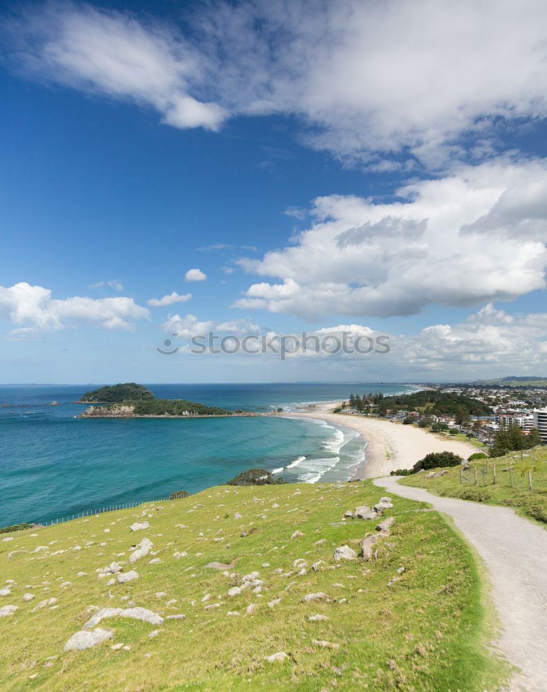 Similar – Image, Stock Photo A day out Life Well-being