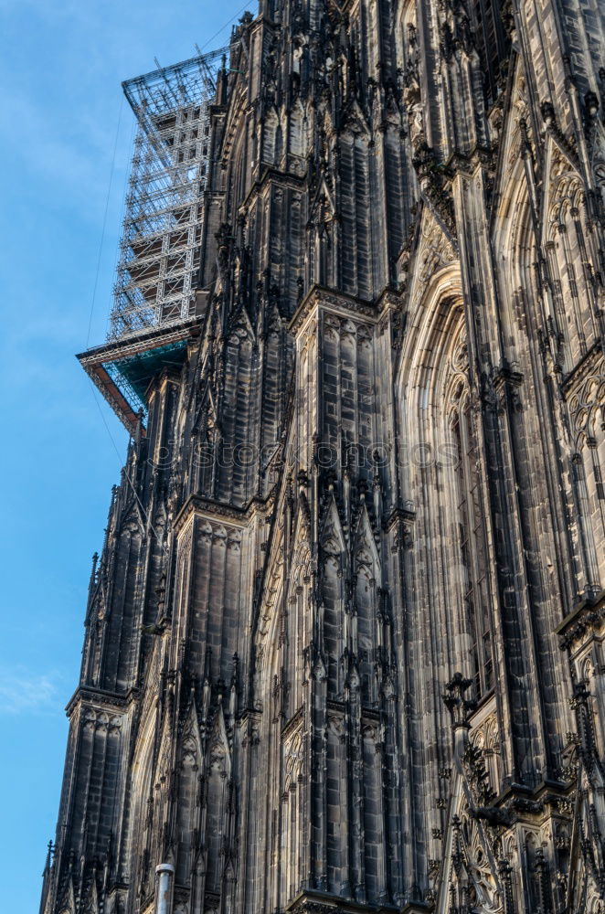 Similar – jecken monument Cologne