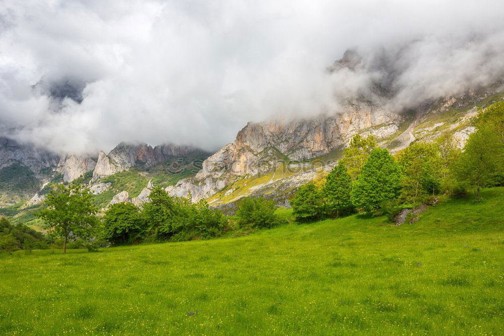 Similar – Image, Stock Photo Spring storm in mountains panorama. Dandelion meadow.