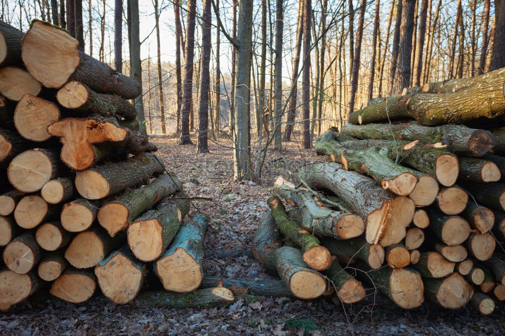 Similar – Wood in front of the hut