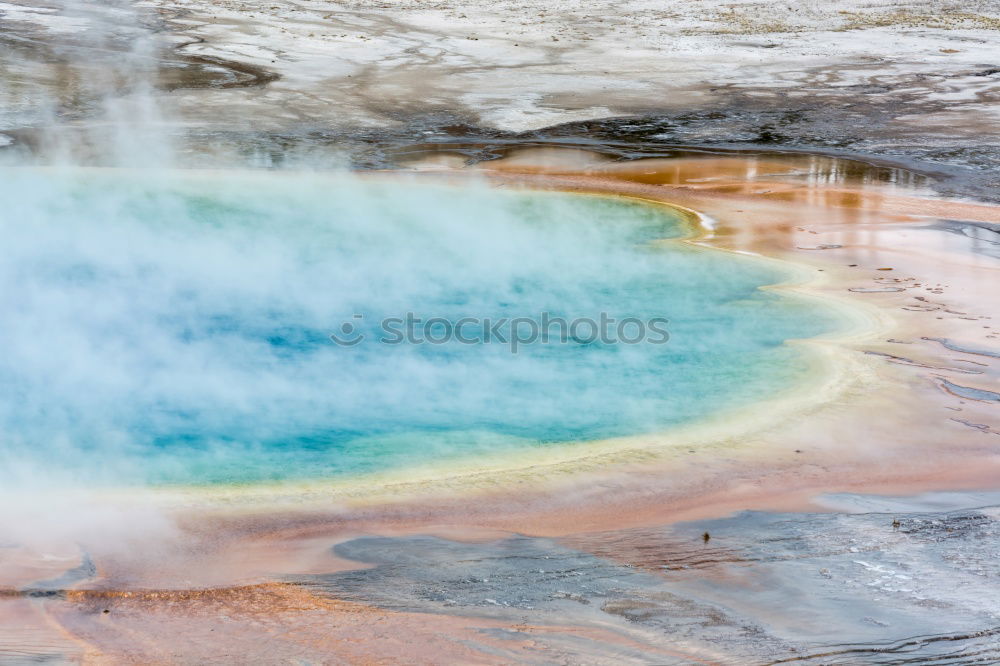 Similar – Image, Stock Photo Bacterial species