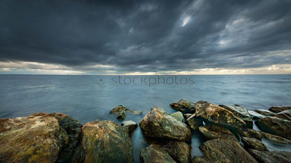 Similar – Image, Stock Photo Driftwood on the coast of the Baltic Sea