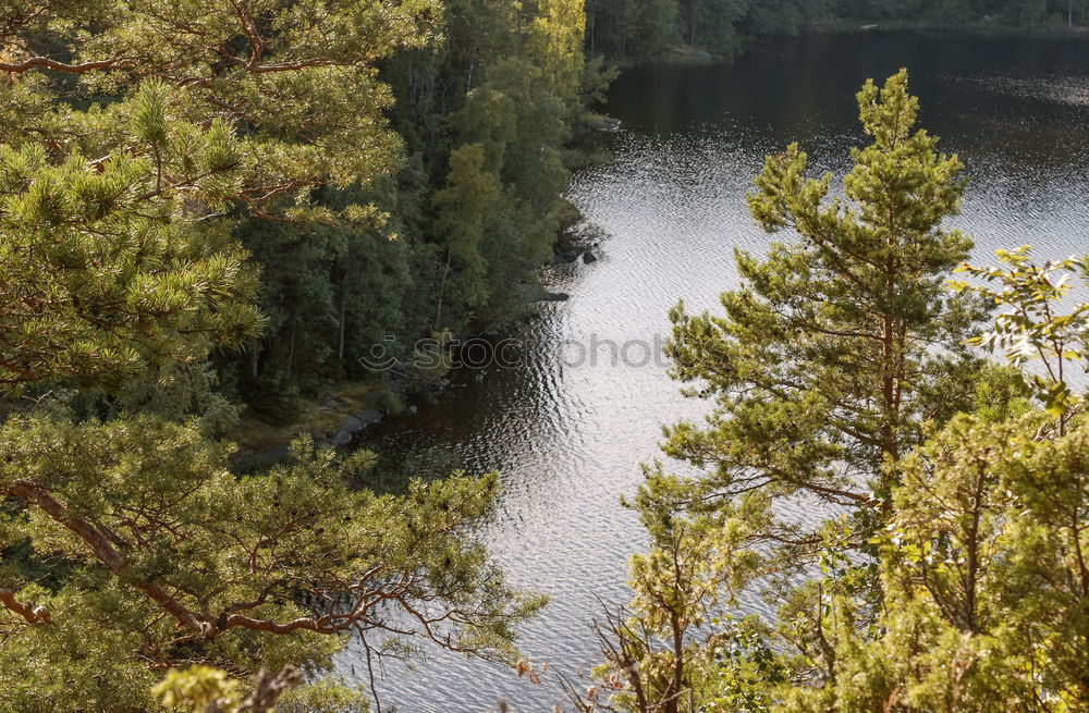 Similar – Swimming lake in Sweden