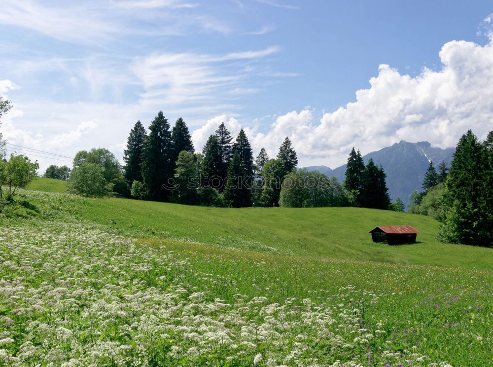 Similar – happy lovers on Holiday in the alps mountains