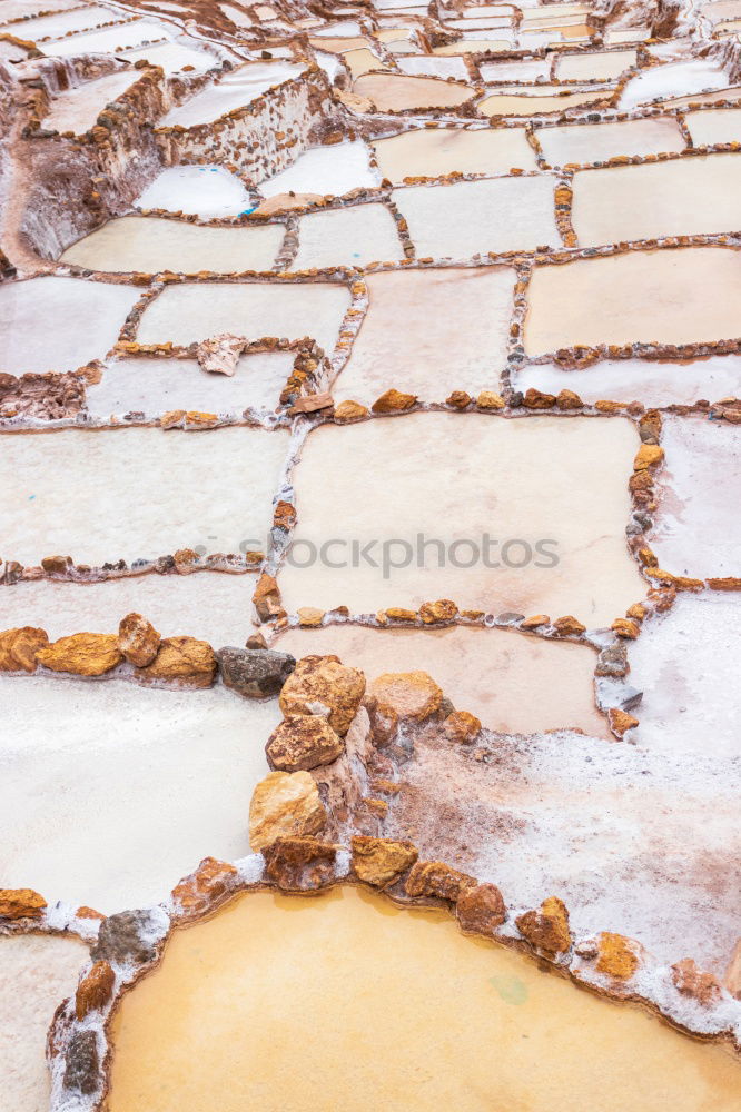 Similar – Image, Stock Photo White Gold Salt