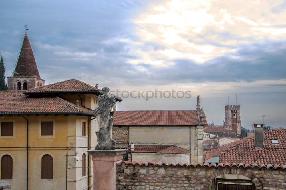 Similar – Image, Stock Photo pigeon’s eye view Sky