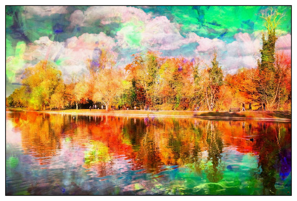 Similar – autumn mirror Nature Water