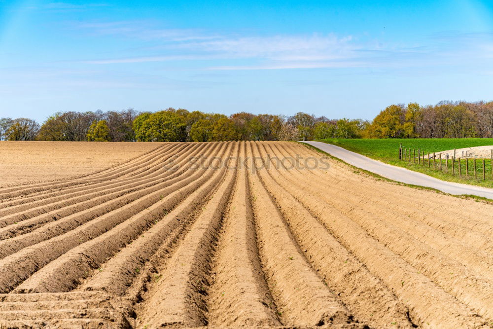 Similar – Image, Stock Photo harvest time Harmonious