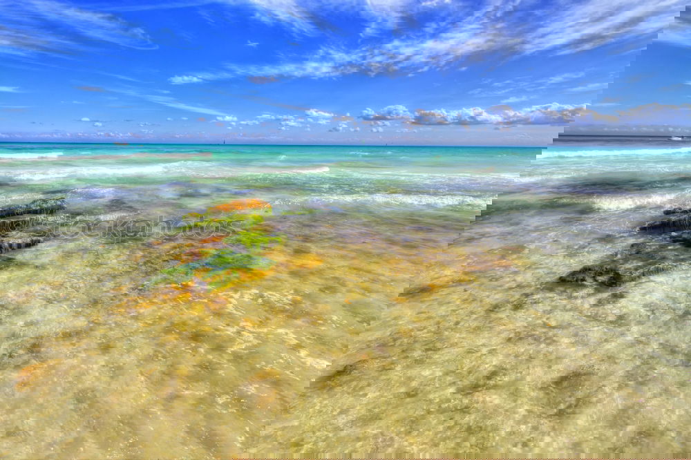 Similar – Foto Bild Karibisches Meer