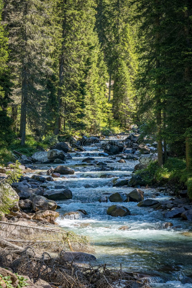 Similar – Image, Stock Photo Mountain river valley landscape