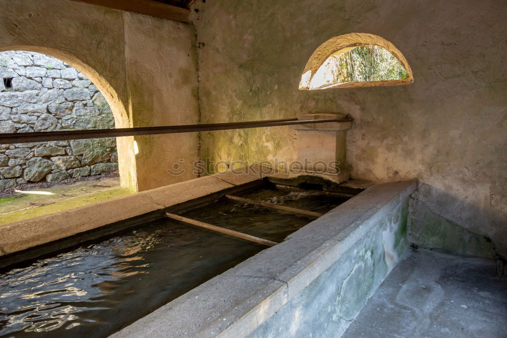 Similar – bathing day Bathtub