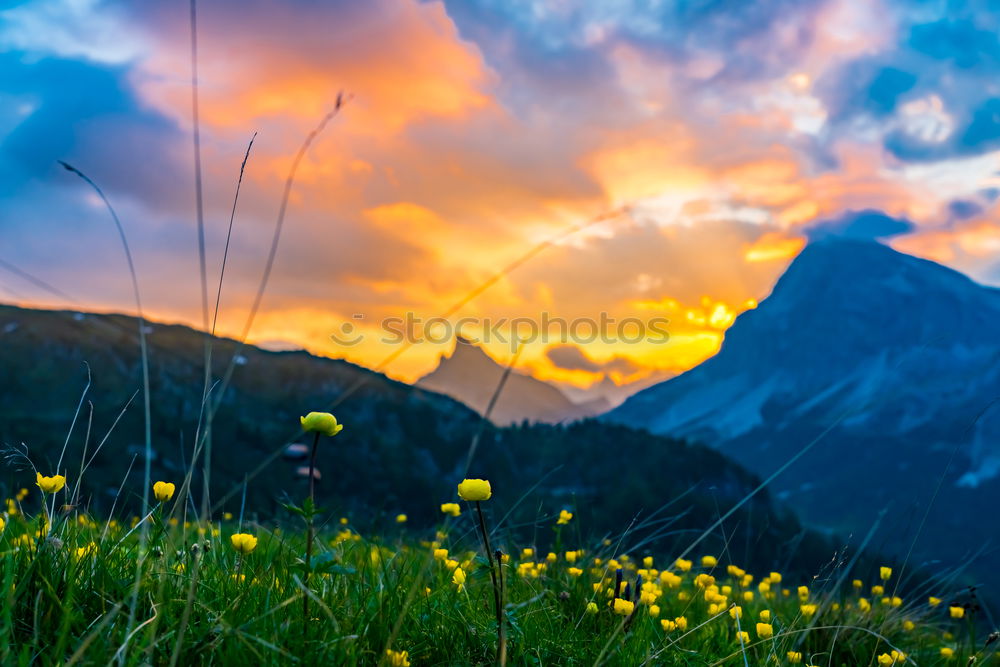 Similar – Image, Stock Photo Alpine village under sun rays