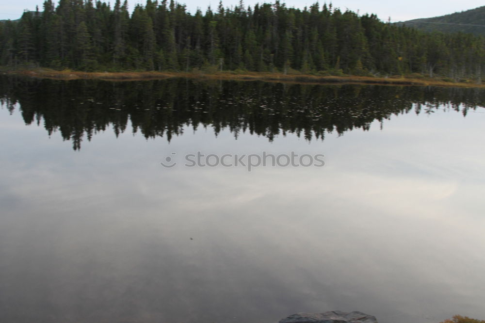 Similar – Image, Stock Photo In the peace lies the strength