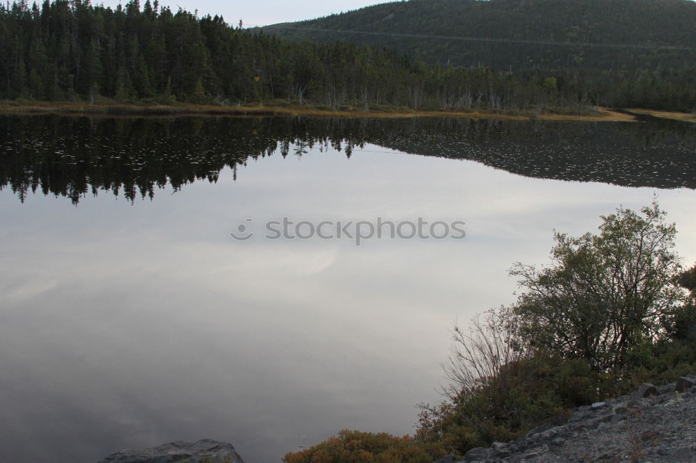 Similar – Image, Stock Photo Appalachian Trail (untitled) #7