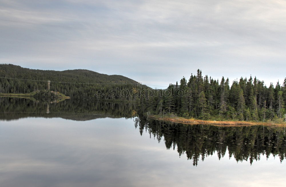 Image, Stock Photo Appalachian Trail (untitled) #7