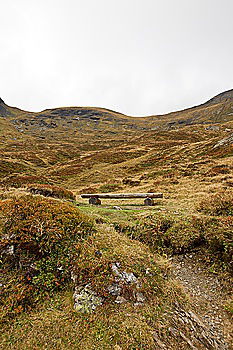 Similar – Image, Stock Photo Connemara II