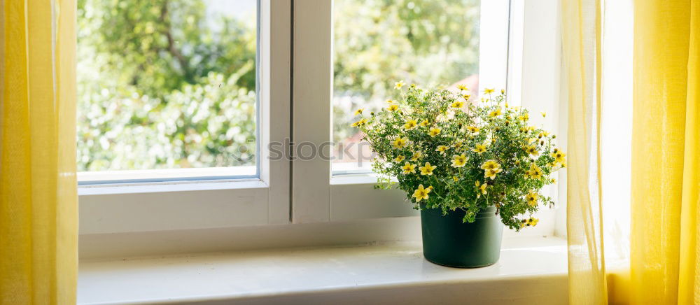 Similar – Image, Stock Photo The view from the window