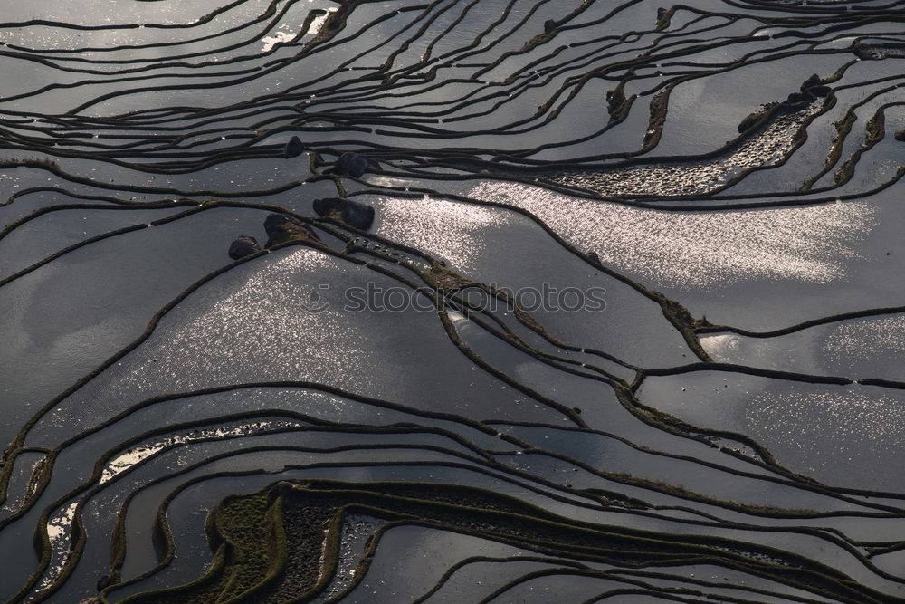 Similar – Aerial photo: Muschelberge