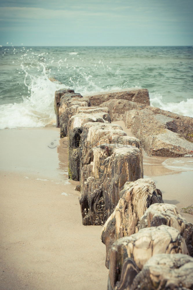 Similar – Zeeland Nordseestrand