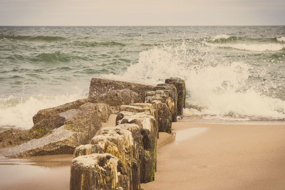 Similar – Zeeland Nordseestrand