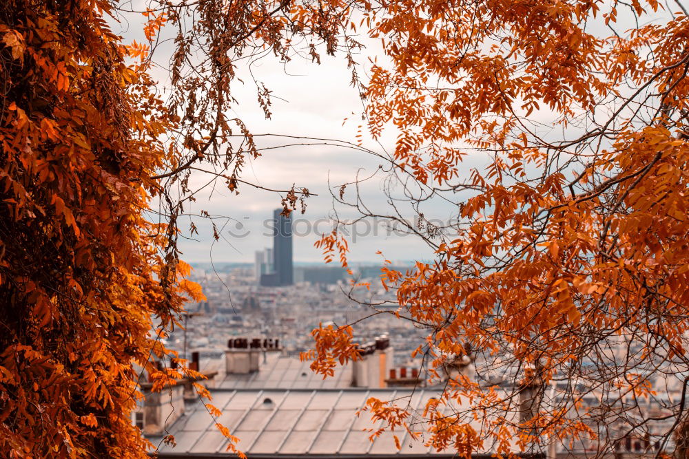 Bern old town in autumn