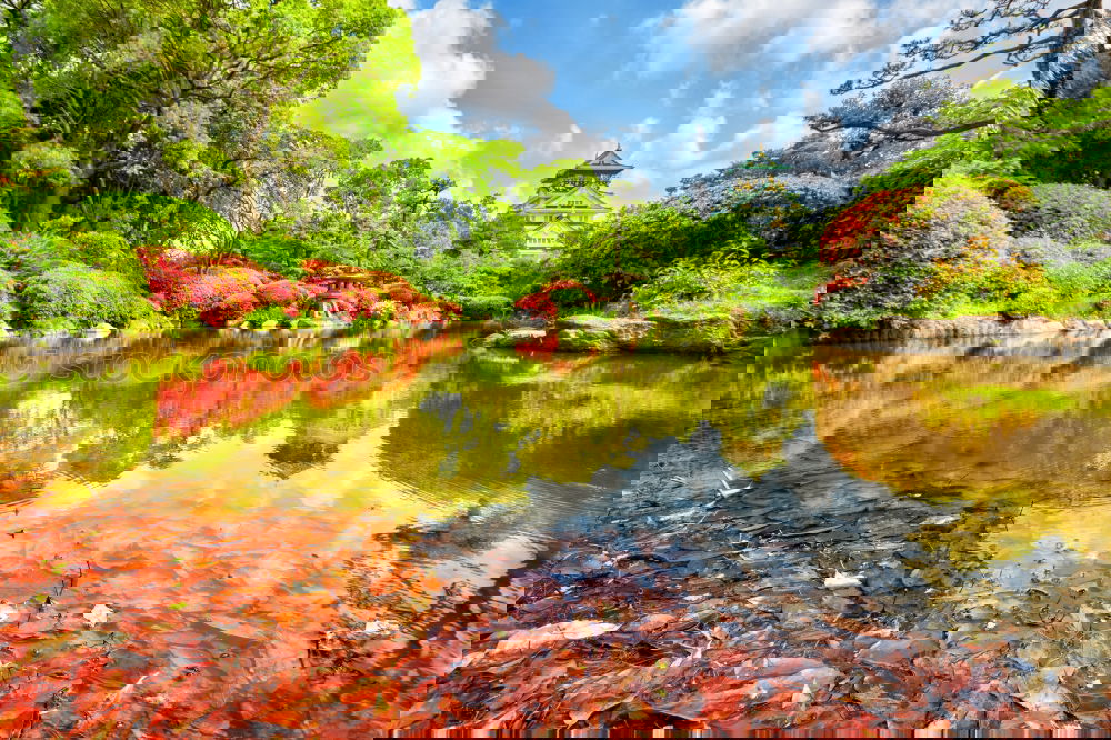 Similar – Image, Stock Photo Japanese Garden Landscape