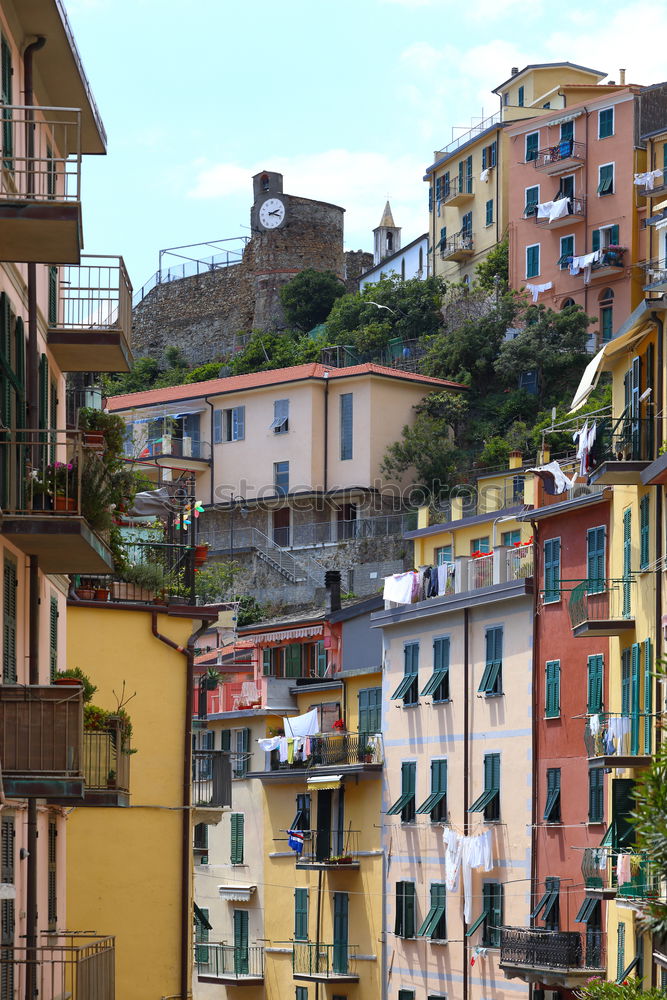 Manarola Village