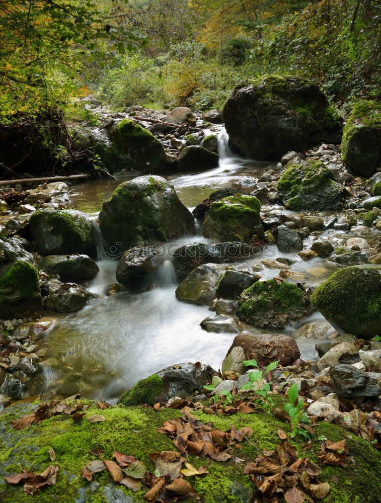 Similar – Under the bridge Wasser