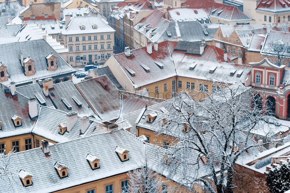 Similar – Christmas Market in Dresden