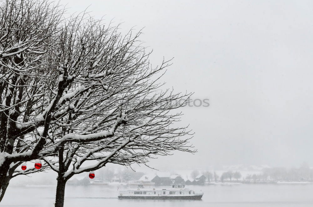 Vancouver beach covered in snow, BC, Canada