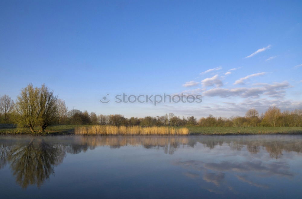 Image, Stock Photo Mirrored! Summer Nature