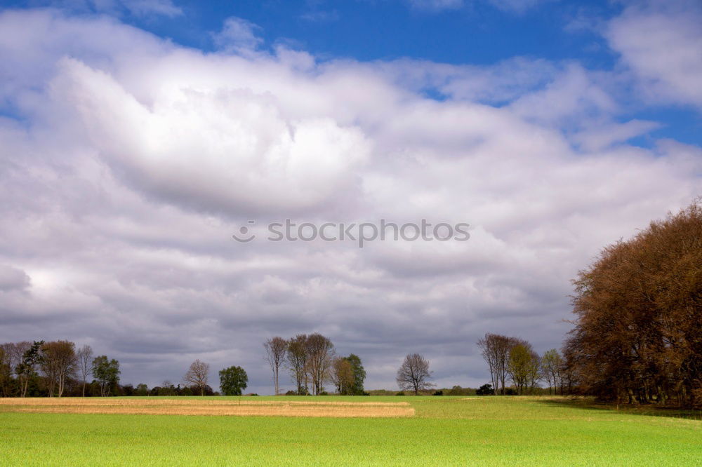 Similar – landscape Landscape Field