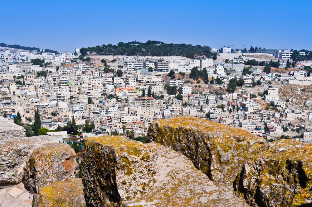 Similar – Image, Stock Photo View from the Acropolis in Athens, Greece