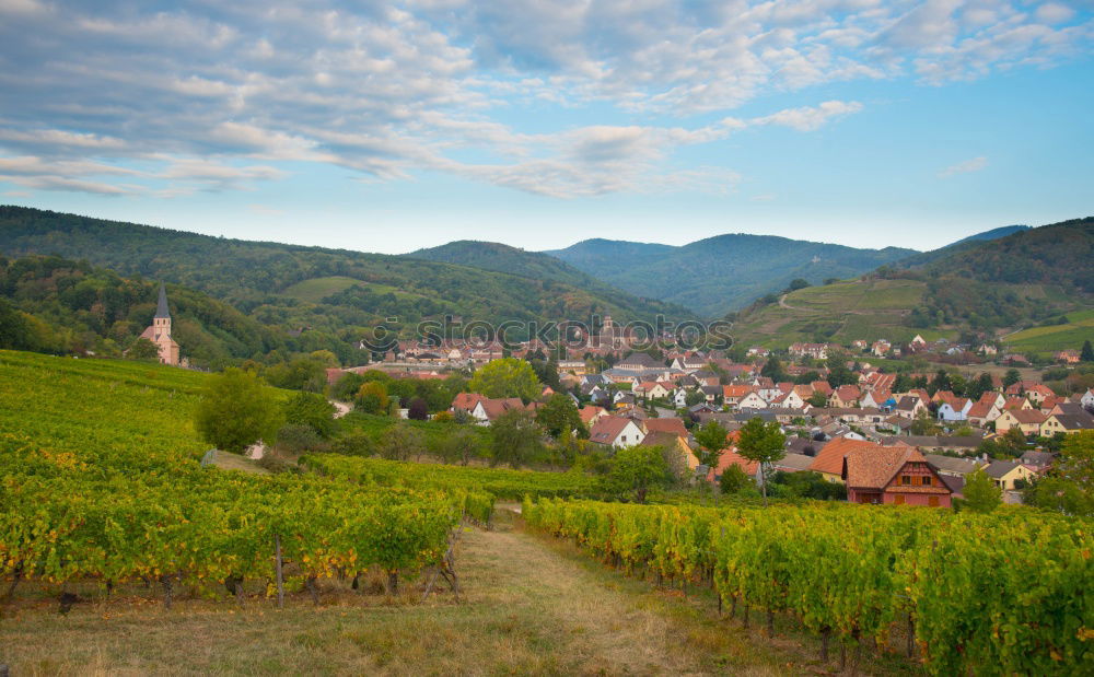 Similar – View of Bremm on the Mosel with Mosel loop