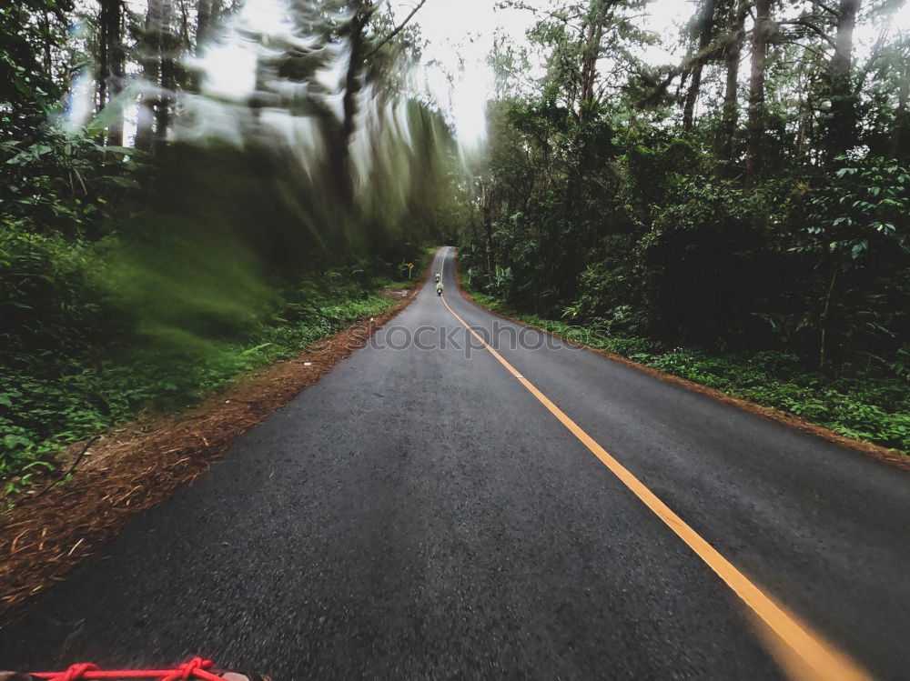 Similar – Car driving through forest