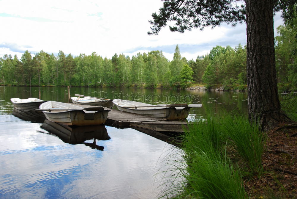 Similar – Image, Stock Photo Suddenly at the lake