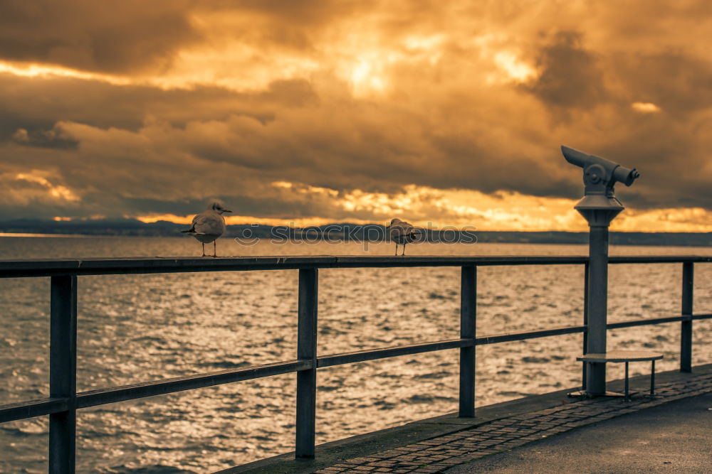 Similar – Sunset at Golden Gate Bridge in San Francisco, California