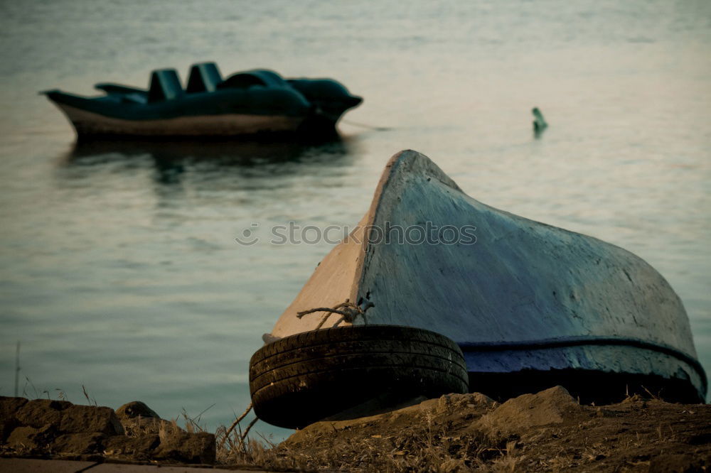 Similar – Fische fangen Umwelt