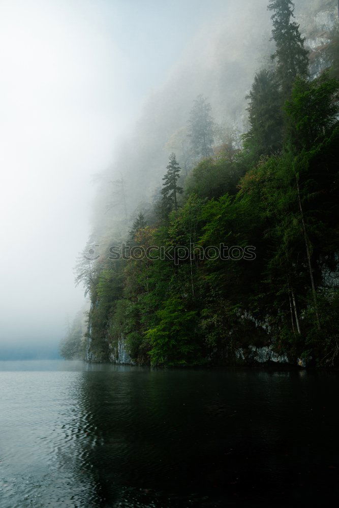 Similar – Image, Stock Photo rain drops Rain Reflection